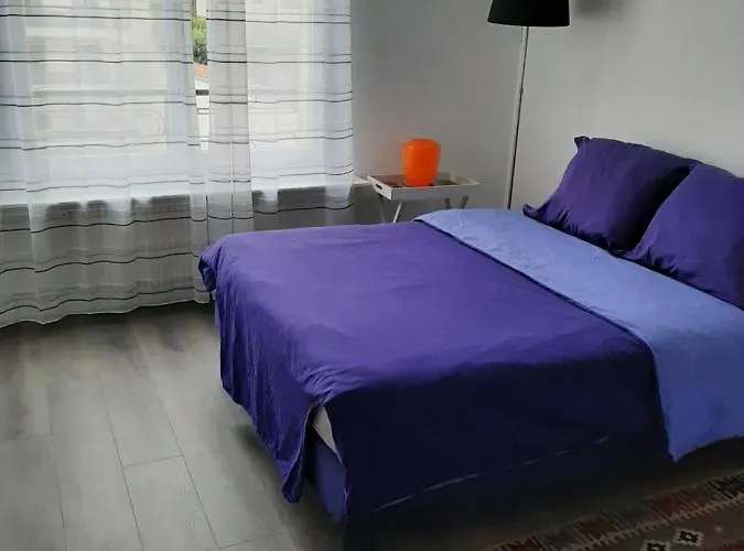Appartement Cosy De Centre Ville