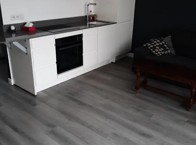 Appartement Cosy De Centre Ville
